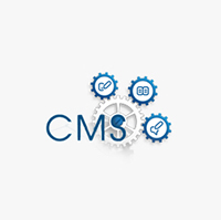Custom CMS Banner
